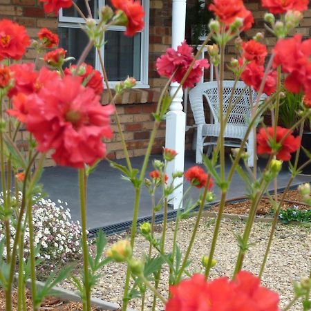 Hazelcreek Cottages Exeter Esterno foto