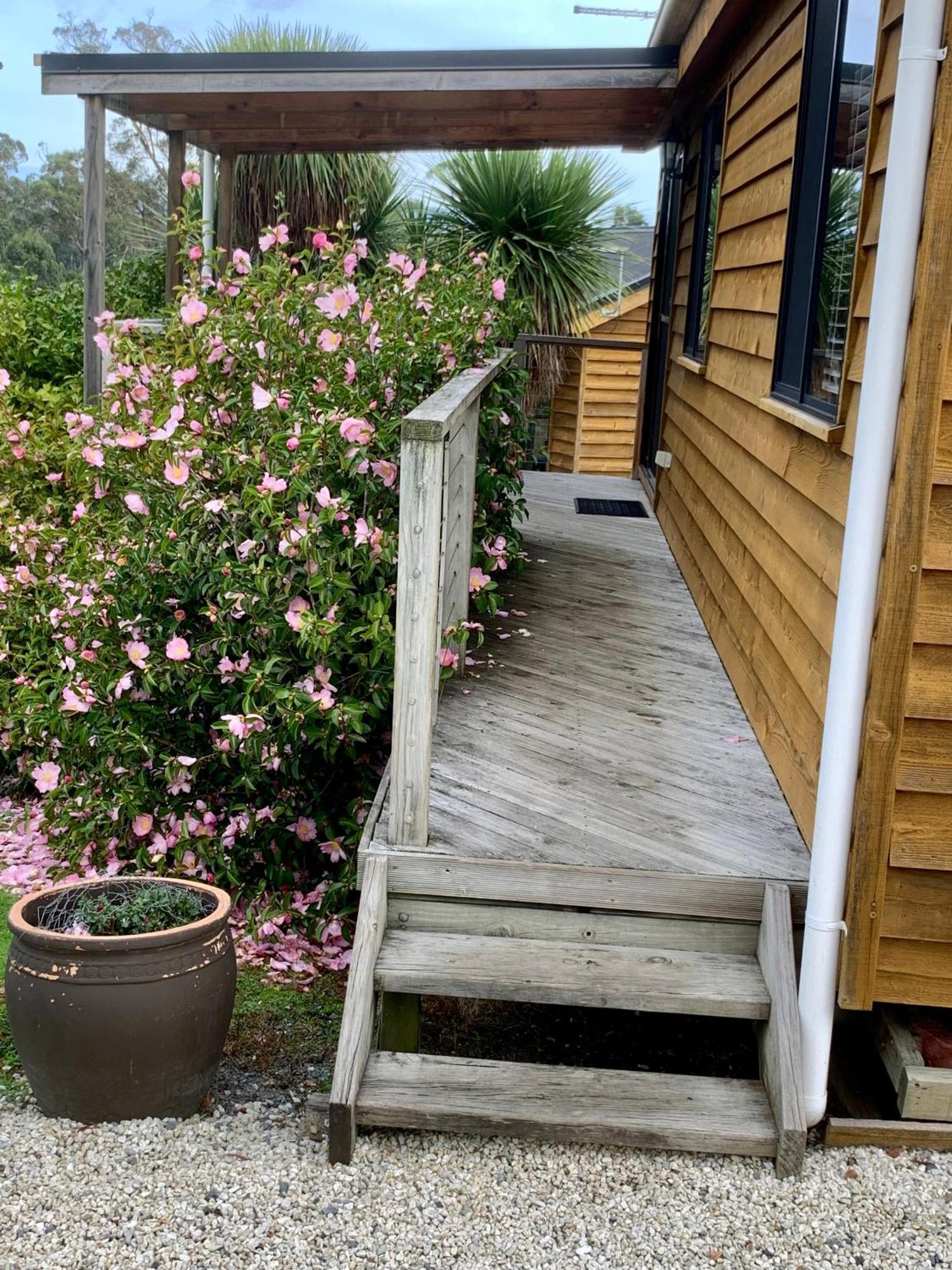Hazelcreek Cottages Exeter Esterno foto