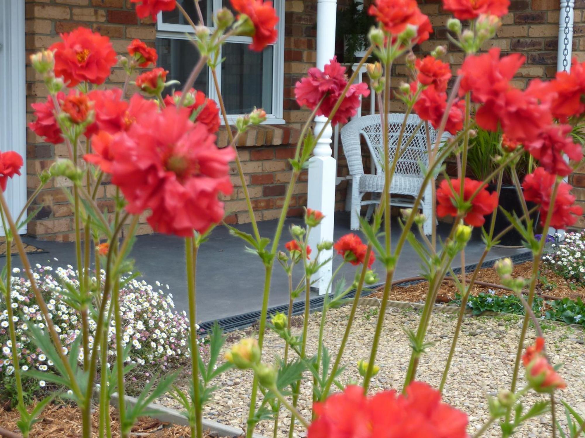 Hazelcreek Cottages Exeter Esterno foto