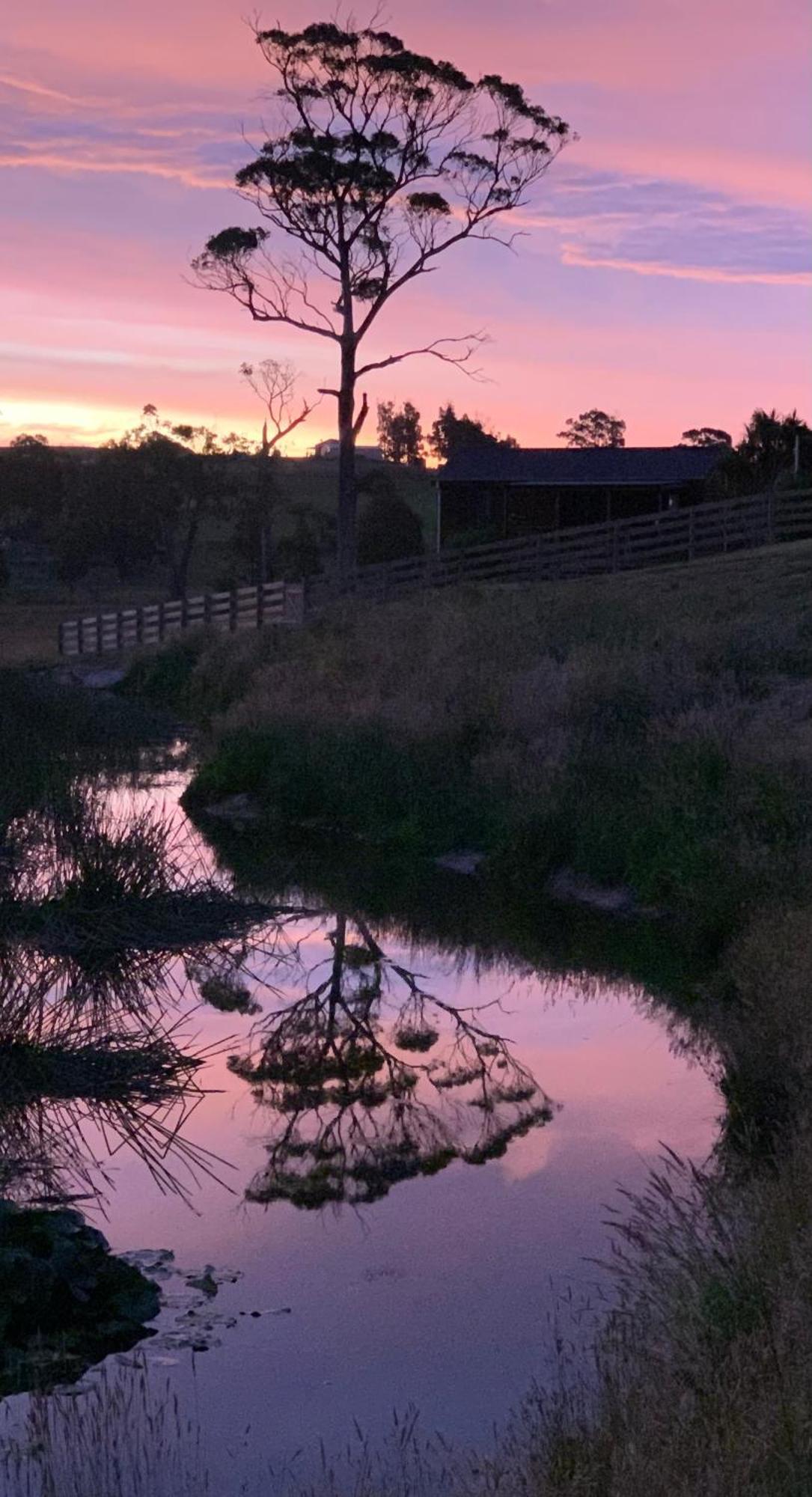 Hazelcreek Cottages Exeter Esterno foto
