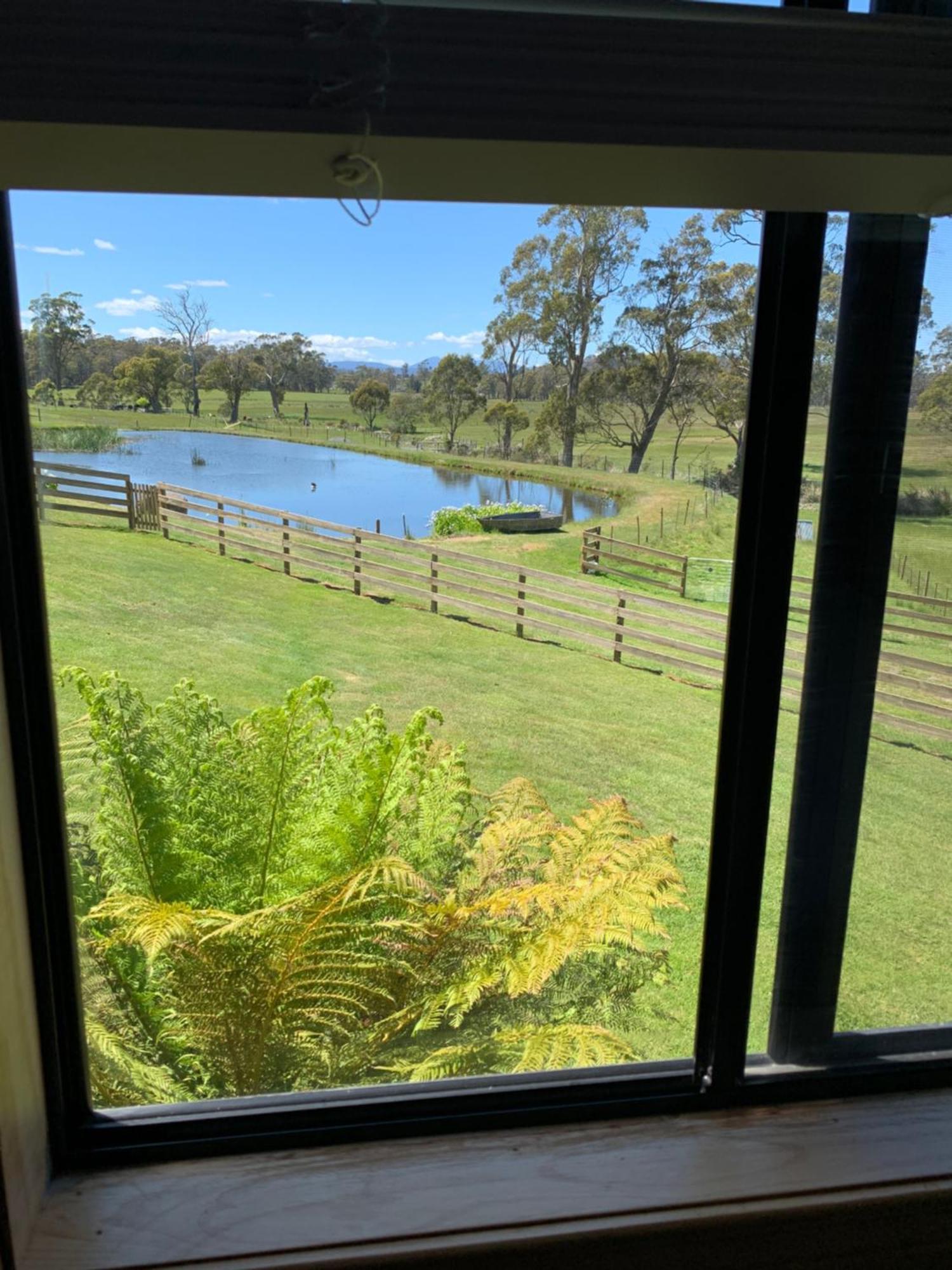 Hazelcreek Cottages Exeter Esterno foto