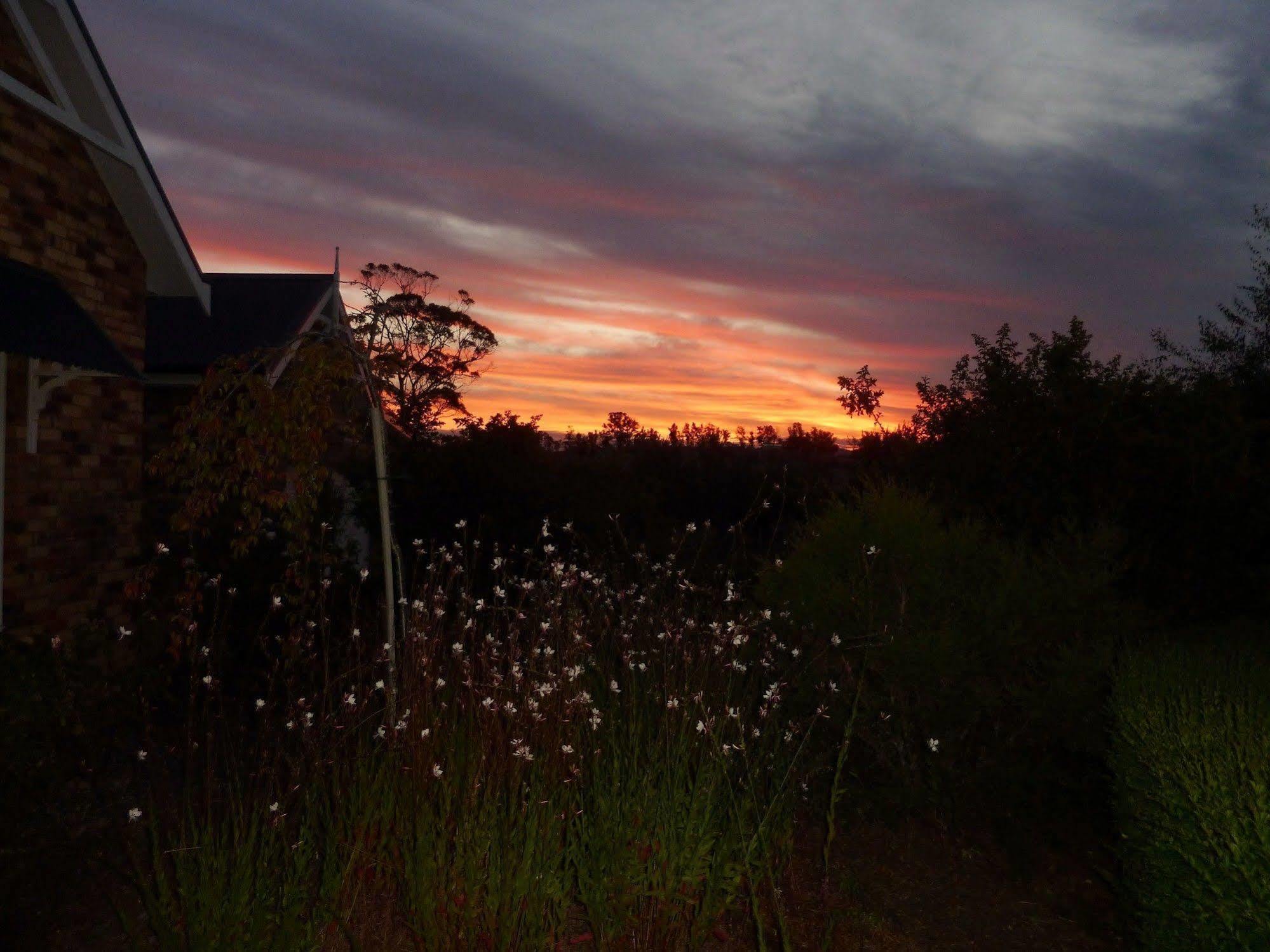Hazelcreek Cottages Exeter Esterno foto